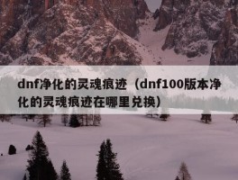 dnf净化的灵魂痕迹（dnf100版本净化的灵魂痕迹在哪里兑换）