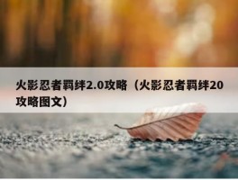 火影忍者羁绊2.0攻略（火影忍者羁绊20攻略图文）