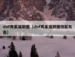 dnf男柔道刷图（dnf男柔道刷图技能灰色）