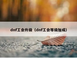 dnf工会升级（dnf工会等级加成）