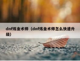 dnf炼金术师（dnf炼金术师怎么快速升级）