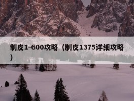 制皮1-600攻略（制皮1375详细攻略）