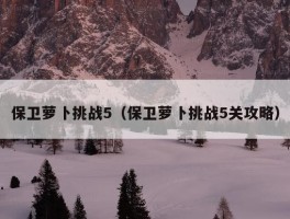 保卫萝卜挑战5（保卫萝卜挑战5关攻略）