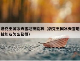 洛克王国冰天雪地技能石（洛克王国冰天雪地技能石怎么获得）