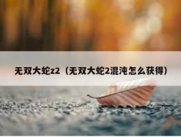 无双大蛇z2（无双大蛇2混沌怎么获得）