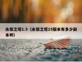 永恒之塔1.5（永恒之塔15版本有多少副本啊）