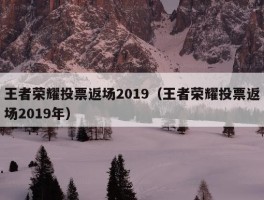 王者荣耀投票返场2019（王者荣耀投票返场2019年）