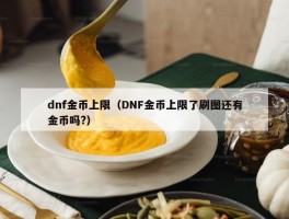 dnf金币上限（DNF金币上限了刷图还有金币吗?）