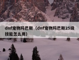 dnf宠物玛巴斯（dnf宠物玛巴斯25级技能怎么用）