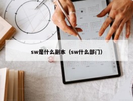 sw是什么副本（sw什么部门）