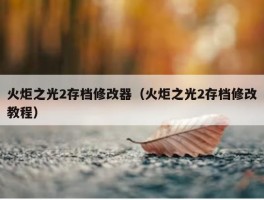 火炬之光2存档修改器（火炬之光2存档修改教程）