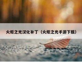 火炬之光汉化补丁（火炬之光手游下载）