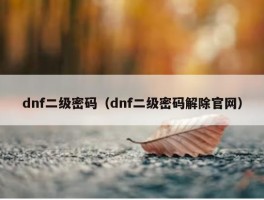 dnf二级密码（dnf二级密码解除官网）