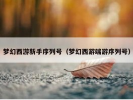 梦幻西游新手序列号（梦幻西游端游序列号）