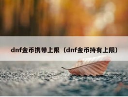 dnf金币携带上限（dnf金币持有上限）