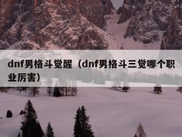 dnf男格斗觉醒（dnf男格斗三觉哪个职业厉害）