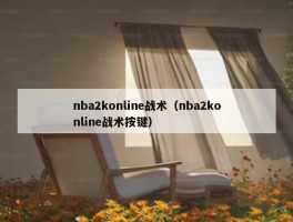 nba2konline战术（nba2konline战术按键）