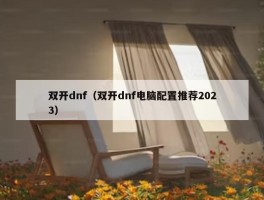 双开dnf（双开dnf电脑配置推荐2023）