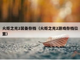 火炬之光2装备存档（火炬之光2游戏存档位置）