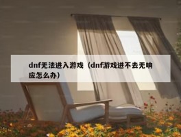 dnf无法进入游戏（dnf游戏进不去无响应怎么办）