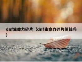 dnf生命力碎片（dnf生命力碎片值钱吗）