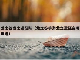 龙之谷龙之远征队（龙之谷手游龙之远征在哪里进）