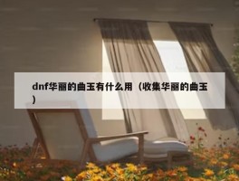 dnf华丽的曲玉有什么用（收集华丽的曲玉）