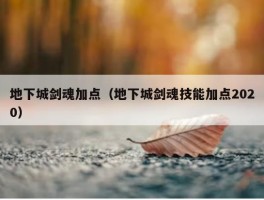 地下城剑魂加点（地下城剑魂技能加点2020）