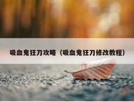 吸血鬼狂刀攻略（吸血鬼狂刀修改教程）