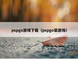 pspgo游戏下载（pspgo装游戏）