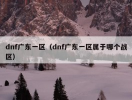 dnf广东一区（dnf广东一区属于哪个战区）