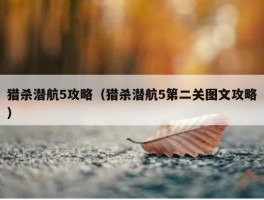 猎杀潜航5攻略（猎杀潜航5第二关图文攻略）