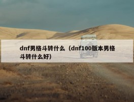 dnf男格斗转什么（dnf100版本男格斗转什么好）