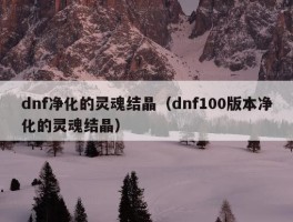 dnf净化的灵魂结晶（dnf100版本净化的灵魂结晶）