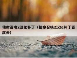 使命召唤2汉化补丁（使命召唤2汉化补丁百度云）