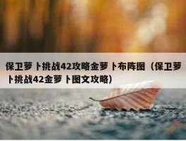 保卫萝卜挑战42攻略金萝卜布阵图（保卫萝卜挑战42金萝卜图文攻略）