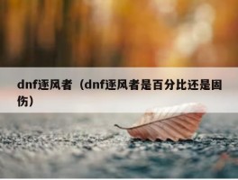 dnf逐风者（dnf逐风者是百分比还是固伤）