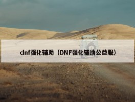 dnf强化辅助（DNF强化辅助公益服）