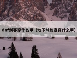 dnf刺客穿什么甲（地下城刺客穿什么甲）