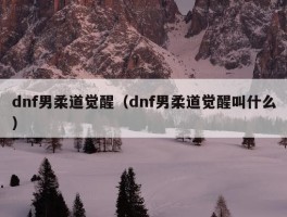 dnf男柔道觉醒（dnf男柔道觉醒叫什么）