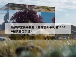 新弹弹堂新手礼包（弹弹堂新手礼包11000钻武器怎么选）