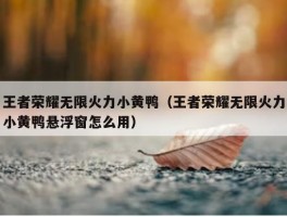 王者荣耀无限火力小黄鸭（王者荣耀无限火力小黄鸭悬浮窗怎么用）