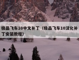 极品飞车10中文补丁（极品飞车10汉化补丁安装教程）