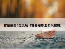 古墓丽影3怎么玩（古墓丽影怎么玩按键）