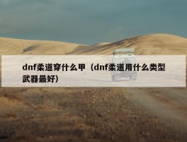 dnf柔道穿什么甲（dnf柔道用什么类型武器最好）