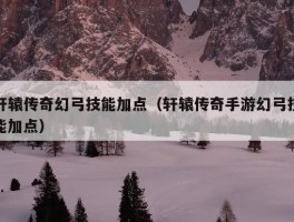 轩辕传奇幻弓技能加点（轩辕传奇手游幻弓技能加点）