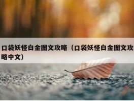 口袋妖怪白金图文攻略（口袋妖怪白金图文攻略中文）