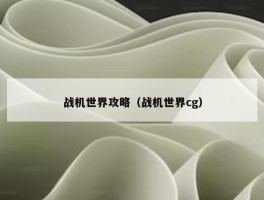 战机世界攻略（战机世界cg）