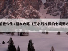 前世今生2副本攻略（王小贱推荐的七境游戏）