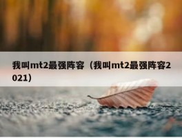 我叫mt2最强阵容（我叫mt2最强阵容2021）